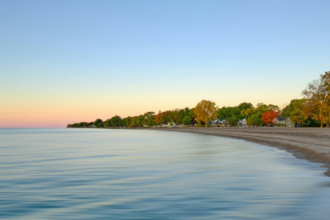 Calm water laps a sandy beach with colorful trees