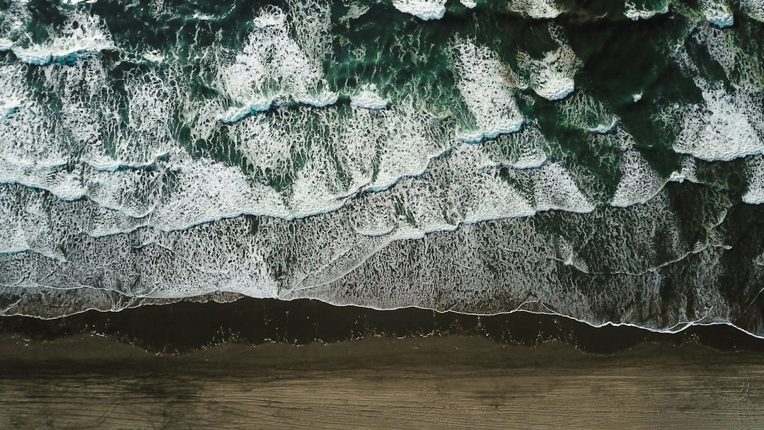 Seashore in aerial photography